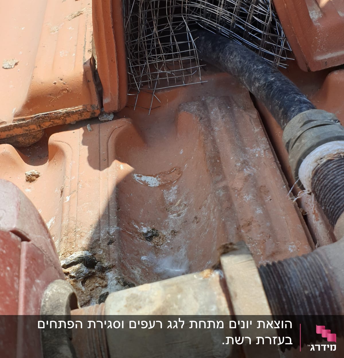 רשת מתכת מותקנת על גג רעפים למניעת כניסת יונים